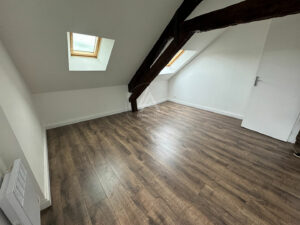 Appartement lumineux