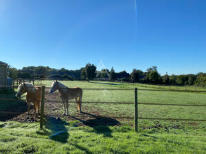 Maison familiale – Chevaux à proximité