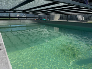 Plain pied avec piscine