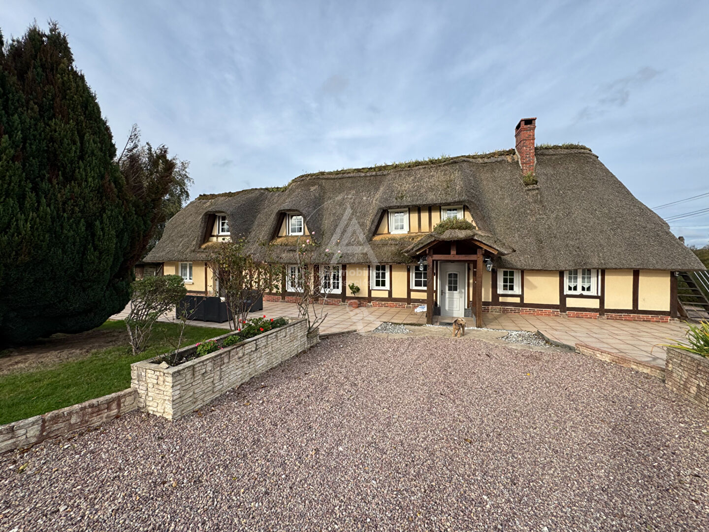 Belle Normande