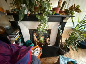 EXCLUSIVITE – Investissement locatif