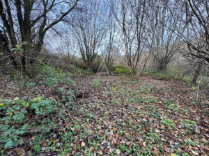 Terrain