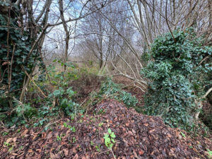 Terrain