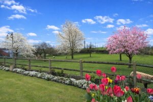 Proche ROUGEMONTIERS